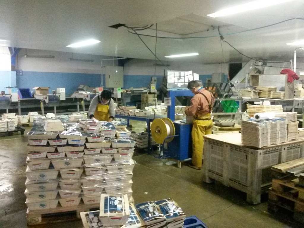 L’expédition des produits