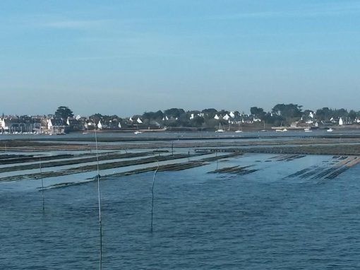 Nos parcs d’élevage